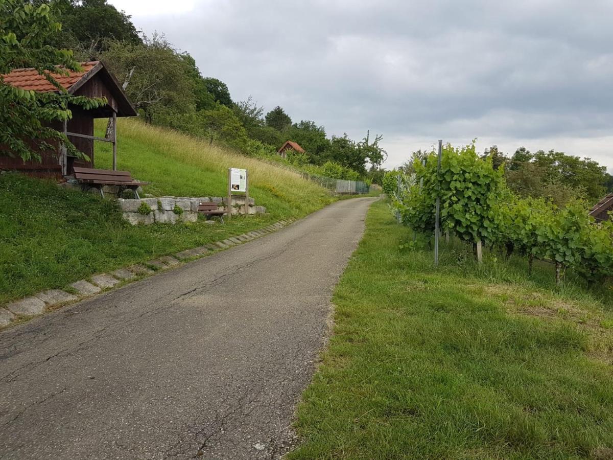 Ferienwohnung Burgblick im Neuffener Tal mit Sauna und Wallbox Frickenhausen  Exterior foto