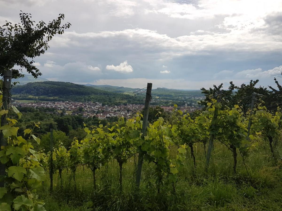 Ferienwohnung Burgblick im Neuffener Tal mit Sauna und Wallbox Frickenhausen  Exterior foto